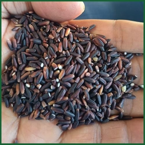 Glarvest Black Rice 1 Kg - Image 2