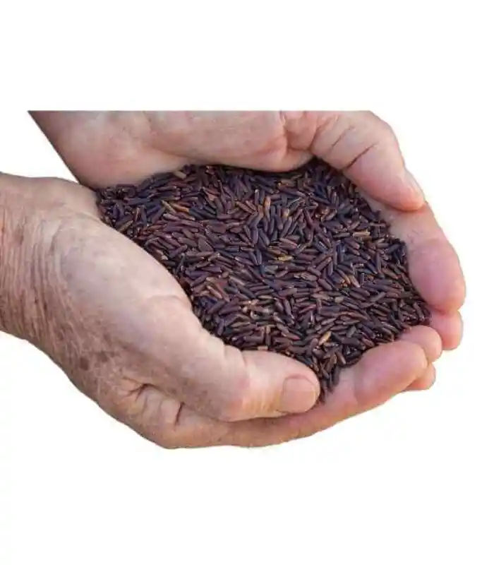 Glarvest Black Rice 1 Kg - Image 3